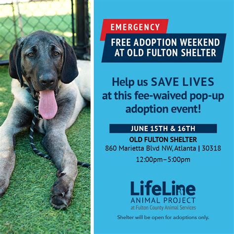 lifeline fulton county|fulton county animal shelter adoption.